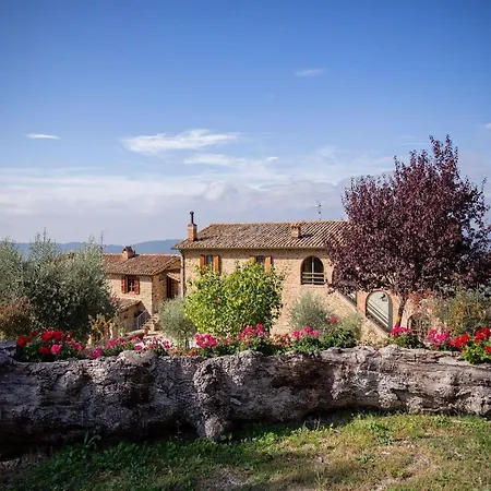 Villa In Umbria With Saltwater Pool 度假居
